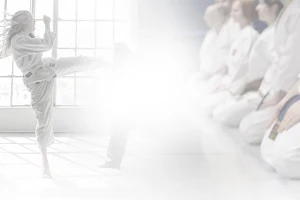 1. Kölner Karateclub Bushido 1961 e.V. image