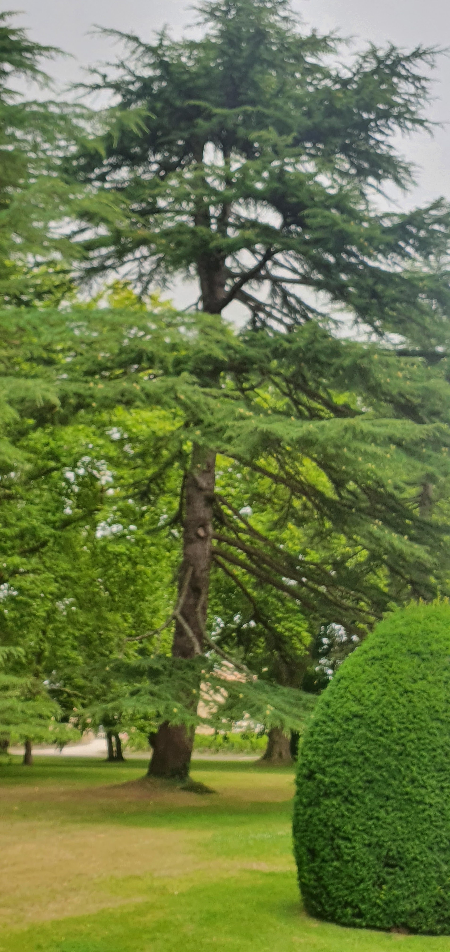 Photo n° 2 de l'avis de Roland.a fait le 17/07/2020 à 19:13