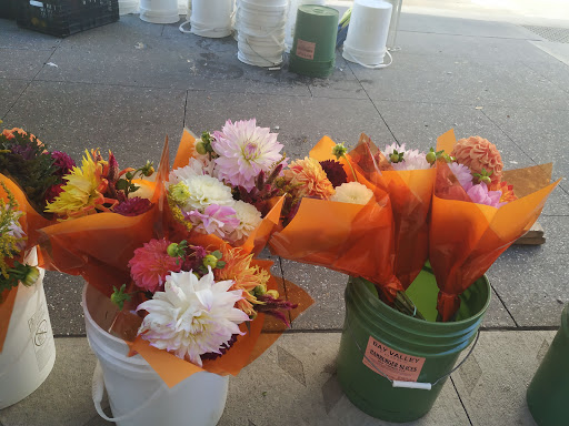 Shopping Mall «Gaviidae Common», reviews and photos, 651 Nicollet Mall #125, Minneapolis, MN 55402, USA