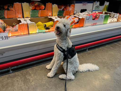 Shaylah's Canine Commands, LLC