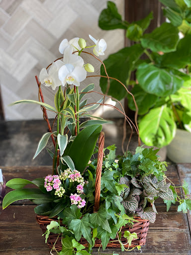 Florist «Botany Bay Florist», reviews and photos, 6068 Roswell Rd, Sandy Springs, GA 30328, USA