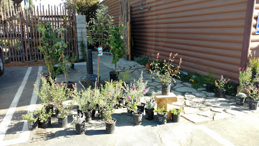 Hardware Store «C & E Lumber and Hardware», reviews and photos, 2692 N Towne Ave, Pomona, CA 91767, USA