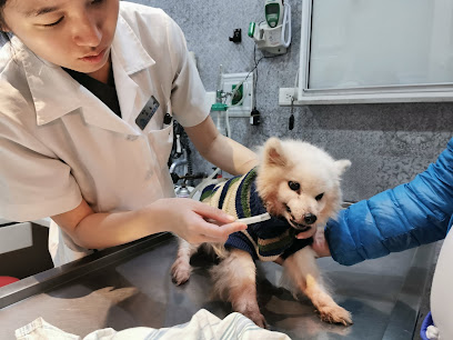 忠愛動物醫院 24H急重症加護中心 / 愛米樂寵物美容