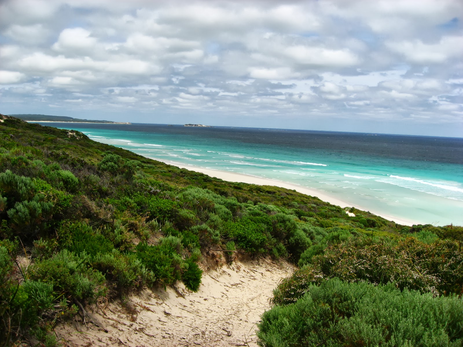 Foto di Boranup Beach zona selvaggia