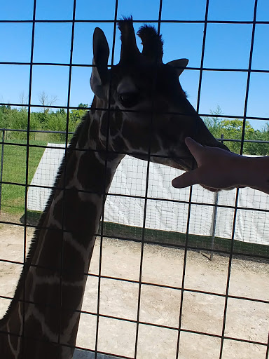 Water Park «Monsoon Lagoon Watering Hole Safari & Waterpark», reviews and photos, 1530 S Danbury Rd, Port Clinton, OH 43452, USA