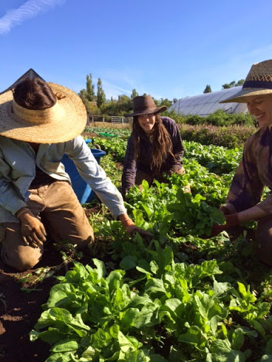 Event Venue «Outer Aisle Catering and Venue», reviews and photos, 164 CA-4, Murphys, CA 95247, USA