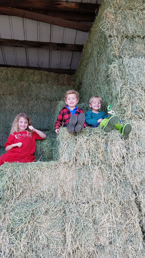 Pet Supply Store «Western Ranch & Pet Supply», reviews and photos, 103 Aegean Way, Vacaville, CA 95687, USA