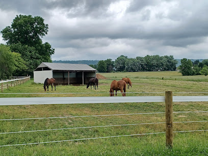 Sandomar Equine Training Center