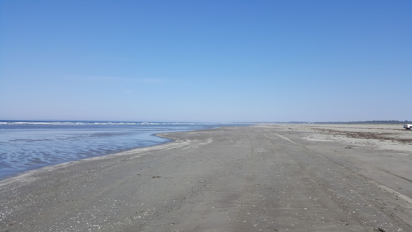 Grayland Beach'in fotoğrafı - rahatlamayı sevenler arasında popüler bir yer