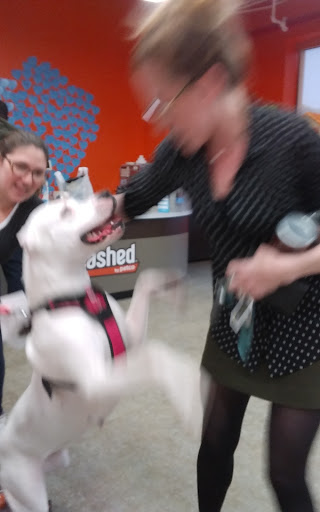 Pet Supply Store «Petco Animal Supplies», reviews and photos, 61-23 190th St, Fresh Meadows, NY 11365, USA