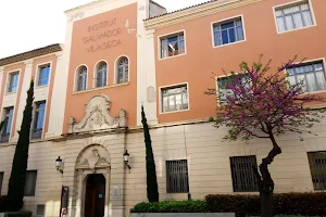 Institut Salvador Vilaseca image