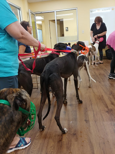 Pet Supply Store «PetPeople», reviews and photos, 3330 Washtenaw Ave, Ann Arbor, MI 48104, USA