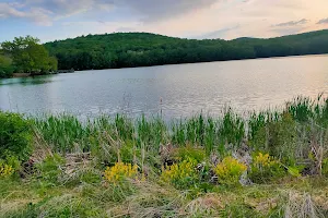 Furnace Lake Recreation Area image