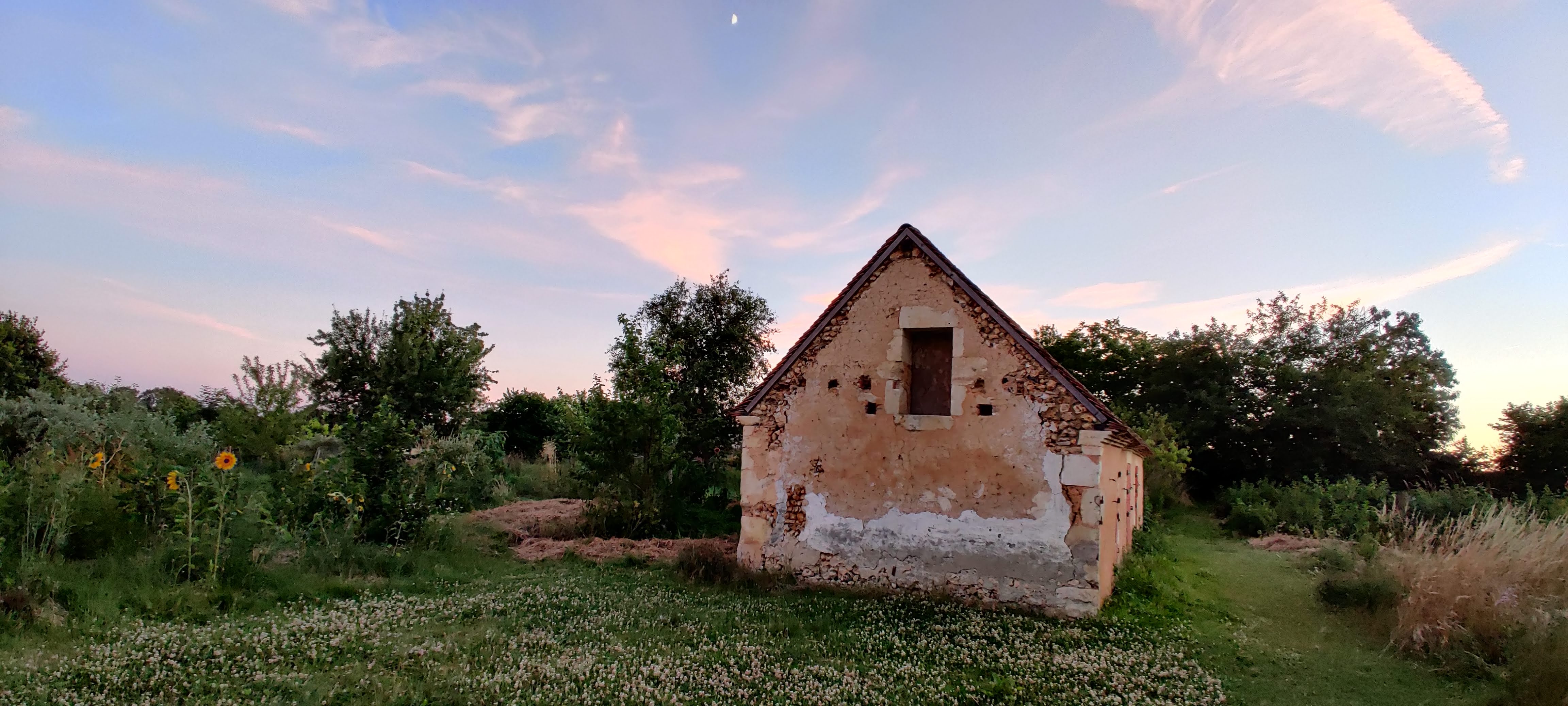 Photo n° 5 de l'avis de Dhruv.u fait le 24/11/2023 à 10:27