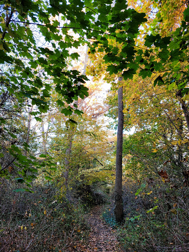 Nature Preserve «Brookside Preserve», reviews and photos, N Brookside Ave, Roosevelt, NY 11575, USA
