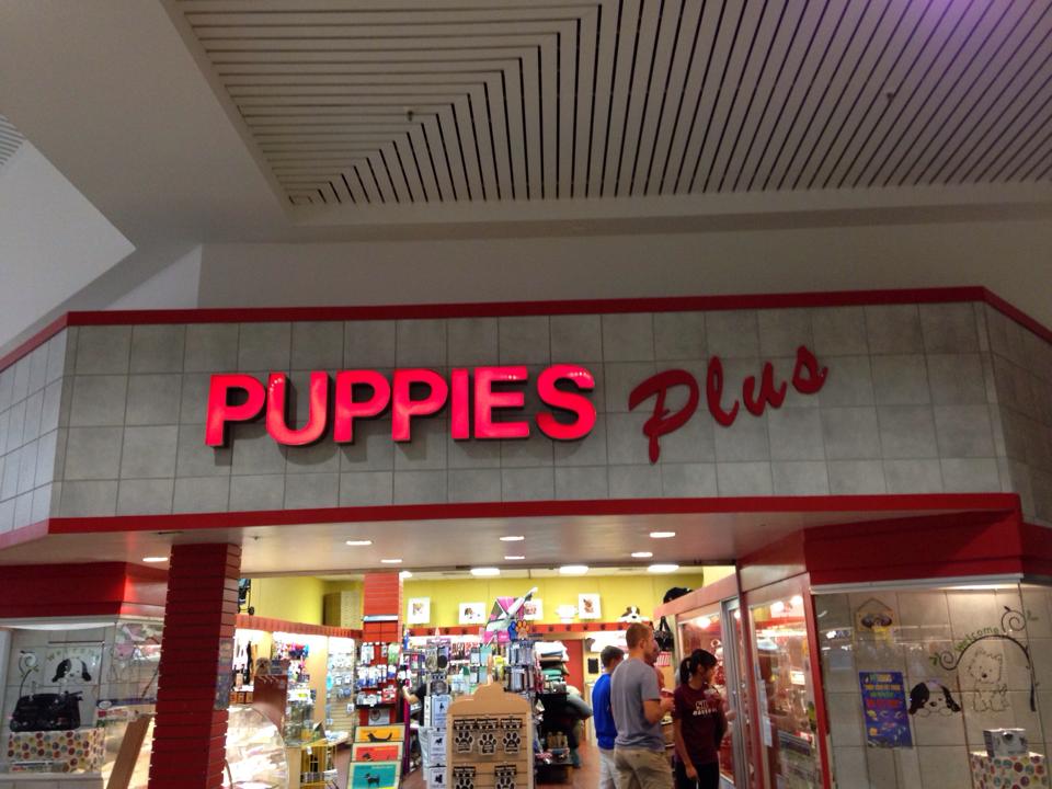 Puppies Plus