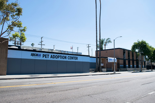 spcaLA Pet Adoption Center