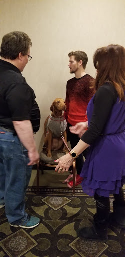 Comedy Club «Bananas Comedy Club», reviews and photos, 283 NJ-17, Hasbrouck Heights, NJ 07604, USA