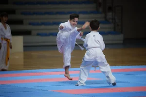 Turgutlu Karate İhtisas Spor Kulübü image