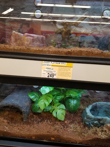 Pet Supply Store «Petco Animal Supplies», reviews and photos, 308 E Meighan Blvd, Gadsden, AL 35903, USA