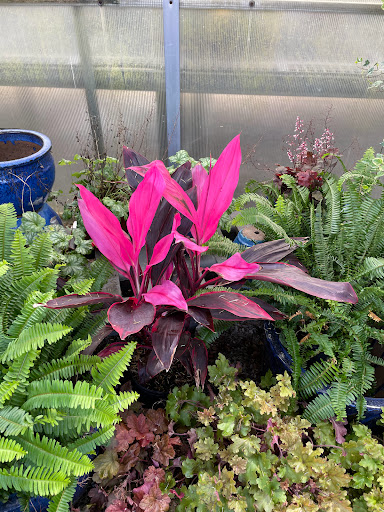 Florist «Country Greenery», reviews and photos, 1518 U.S. 9, Cape May Court House, NJ 08210, USA