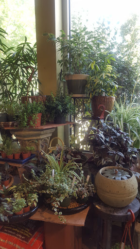 Gift Shop «Wild Flowers», reviews and photos, 1201 Madison St, Denver, CO 80206, USA