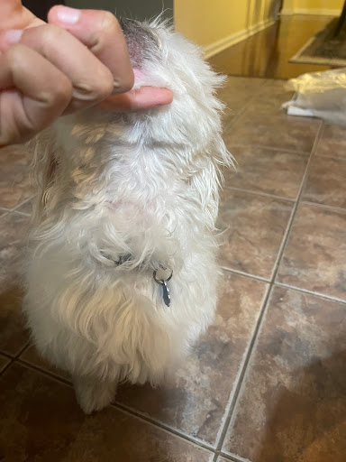 Pet Supply Store «PetSmart», reviews and photos, 5857 NJ-42, Turnersville, NJ 08012, USA