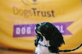 Dogs Trust Dog School Shropshire & Cheshire