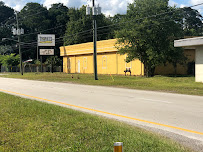 TLC Outdoors LLC - Photo 6 - Car repair in Jacksonville, FL, Jacksonville