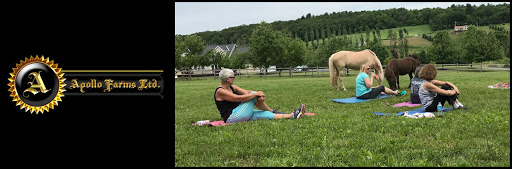 Horse Trainer «Apollo Farms Ltd.», reviews and photos, 3070 Summer Mountain Rd, Palmerton, PA 18071, USA