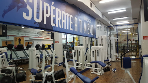 Gimnasio SCG en Madrid, Madrid