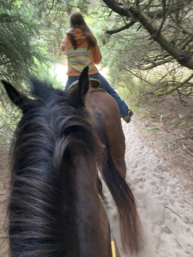 Horse Boarding Stable «Green Acres Beach & Trail Rides», reviews and photos, 5985 Pacific Ave, Cloverdale, OR 97112, USA
