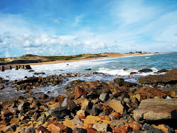 Gopalpur Port Beach'in fotoğrafı vahşi alan