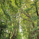 Photo n° 2 de l'avis de Yves.a fait le 09/08/2023 à 13:56 pour Venise Verte Evasion à Sansais