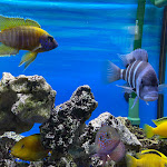 Photo n°2 de l'avis de Mario.i fait le 03/10/2022 à 18:49 sur le  Weidener Grillstübchen à Kürten