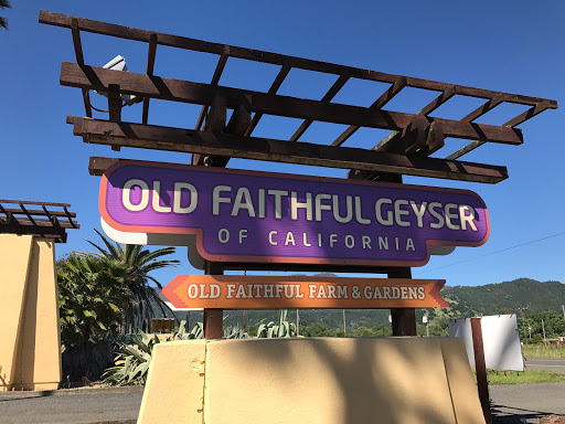 Tourist Attraction «Old Faithful Geyser of California», reviews and photos, 1299 Tubbs Ln, Calistoga, CA 94515, USA