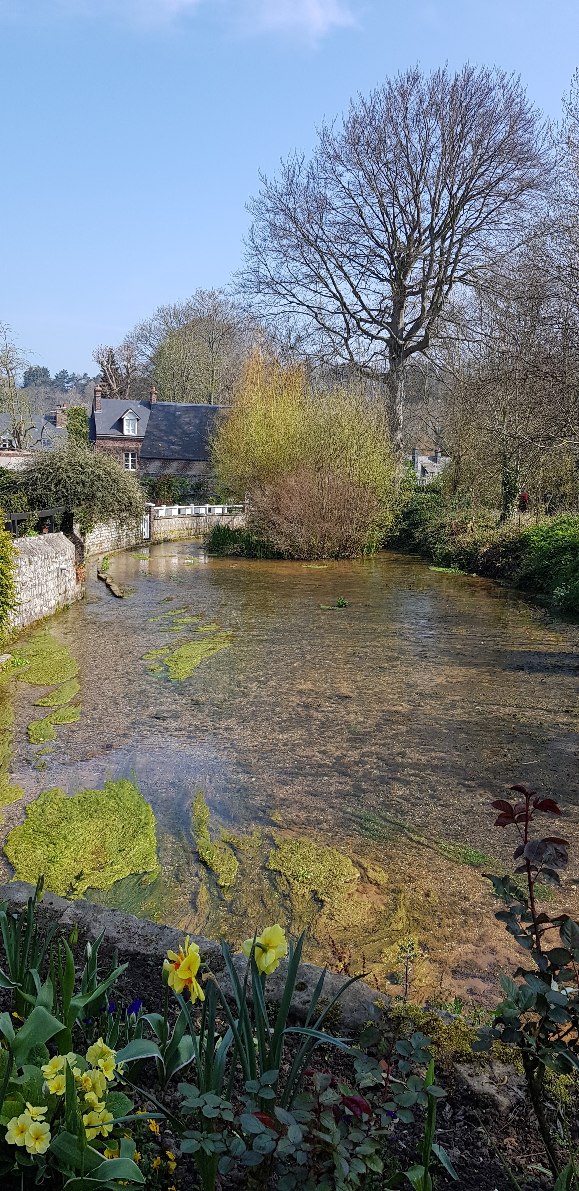 Photo n° 45 de l'avis de beatrice.r fait le 08/04/2019 à 15:08