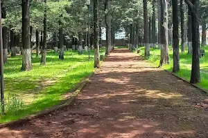 Parque Fidel Negrete image