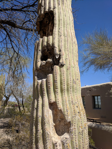 National Park «Casa Grande Ruins National Monument», reviews and photos, 1100 W Ruins Dr, Coolidge, AZ 85128, USA