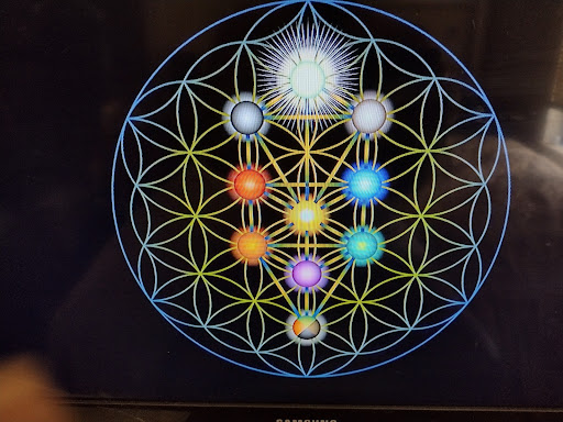 Movie Theater «AMC Grand Rapids 18», reviews and photos, 3000 Alpine Ave NW, Walker, MI 49544, USA