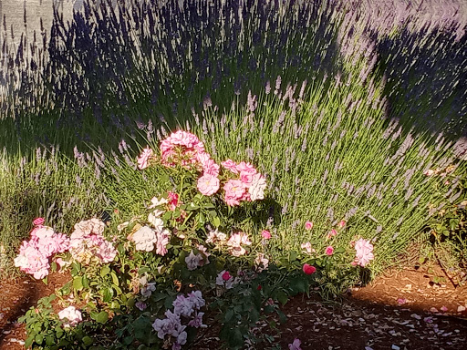 Dessert Shop «Snoqualmie Ice Creamery and Fountain», reviews and photos, 21106 86th Ave SE, Snohomish, WA 98296, USA