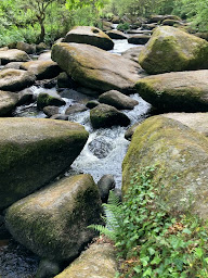 Photo n°3 de Couleur Cafe à Plaine-Haute ()