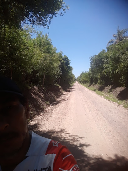 Bosques de riachielo Corrientes