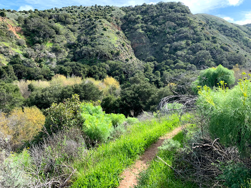 National Park «Channel Islands National Park», reviews and photos