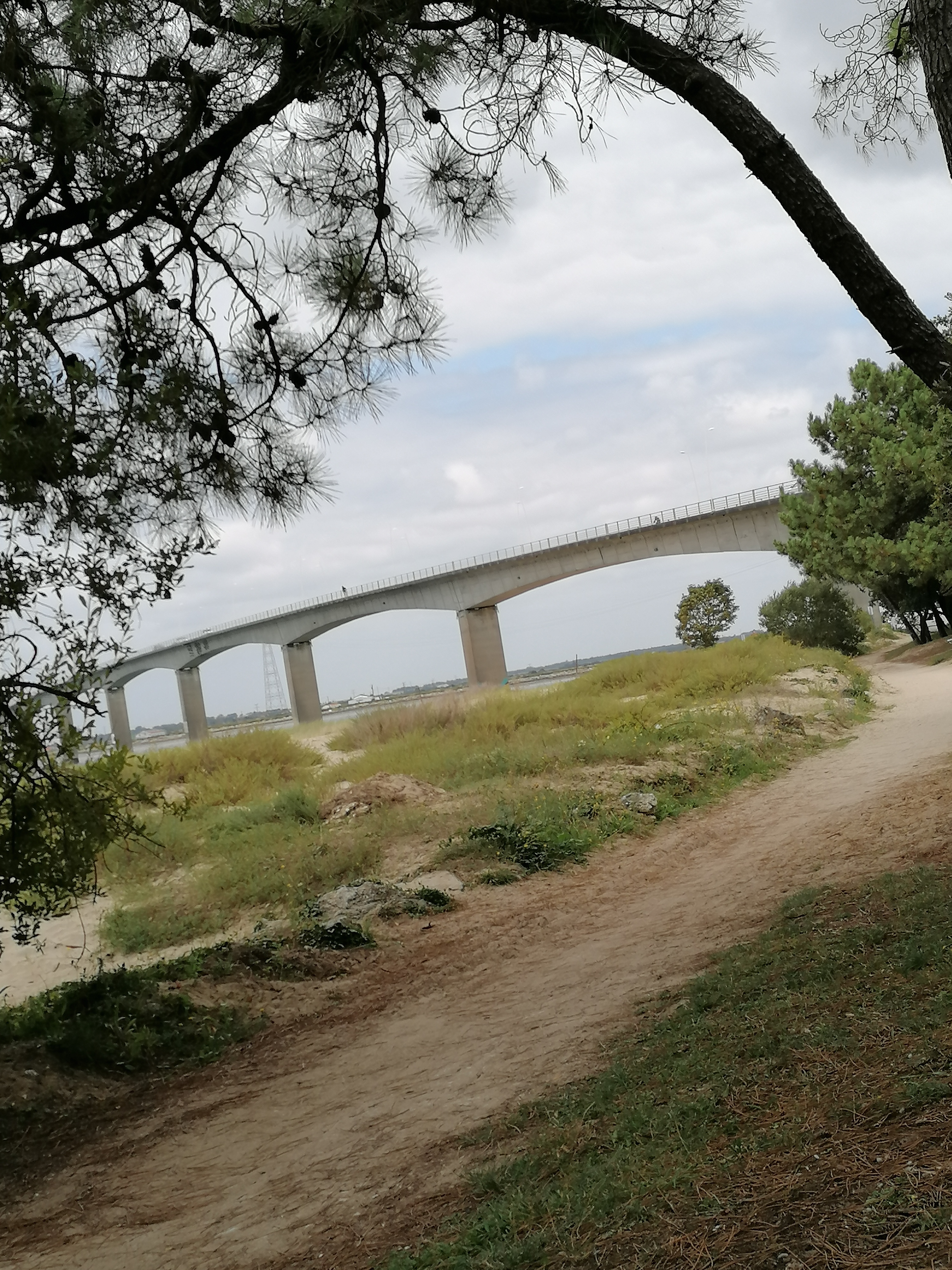 Photo n° 2 de l'avis de marjo.E fait le 17/08/2021 à 15:02