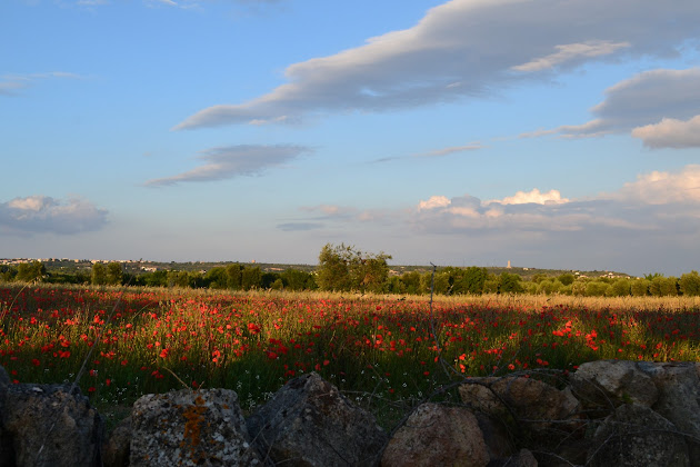 Extérieur Appartamento vacanze Masseria Triglie 74012 Crispiano