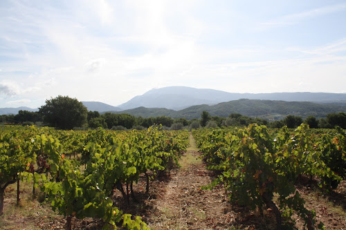 Domaine La Fille des Vignes à Piégon