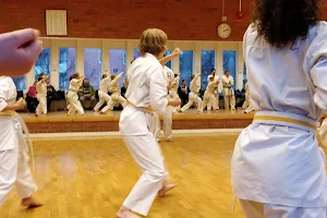 KFUM Uppsala Kyokushin Karate image