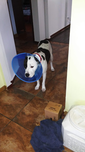 Pet Supply Store «Pet Supplies Plus», reviews and photos, 4505 S 76th St, Greenfield, WI 53220, USA