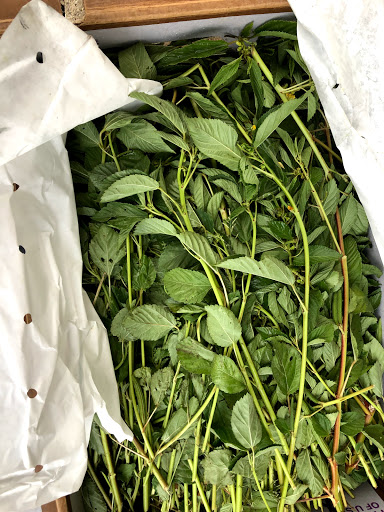 Supermarket «Baladi Fresh Market», reviews and photos, 601 W N Ave, Villa Park, IL 60181, USA